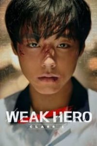 Download Weak Hero (Season 1) Dual Audio {Hindi-Korean} WeB-DL 480p [150MB] || 720p [460MB] || 1080p [2GB]