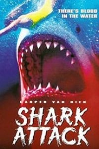 Download Shark Attack (1999) Dual Audio {Hindi-English} Esubs WEB-DL 480p [313MB] || 720p [862MB] || 1080p [2GB]