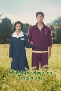 Download When Life Gives You Tangerines (Season 1) {Hindi-Korean} WeB-DL 480p [210MB] || 720p [370MB] || 1080p [1.4GB]