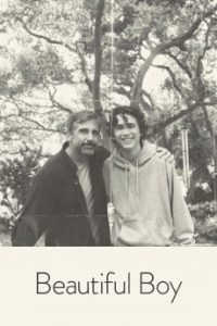 Download Beautiful Boy (2018) {English} WebRip 720p [1GB] || 1080p [1.9GB]