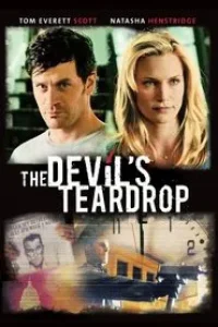 Download The Devil’s Teardrop (2010) Dual Audio {Hindi-English} Esubs WEB-DL 480p [315MB] || 720p [839MB]