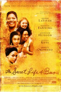 Download The Secret Life of Bees (2008) {Turkish} BluRay 720p [932MB] || 1080p [1.8GB]