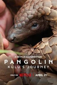Download Pangolin: Kulu’s Journey (2025) Dual Audio {Hindi-English} WEB-DL 480p [321MB] || 720p [758GB] || 1080p [3.4GB]