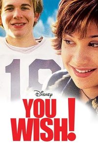 Download You Wish! (2003) Dual Audio [HINDI & ENGLISH] BluRay 480p [311MB] || 720p [820MB] || 1080p [1.6GB]